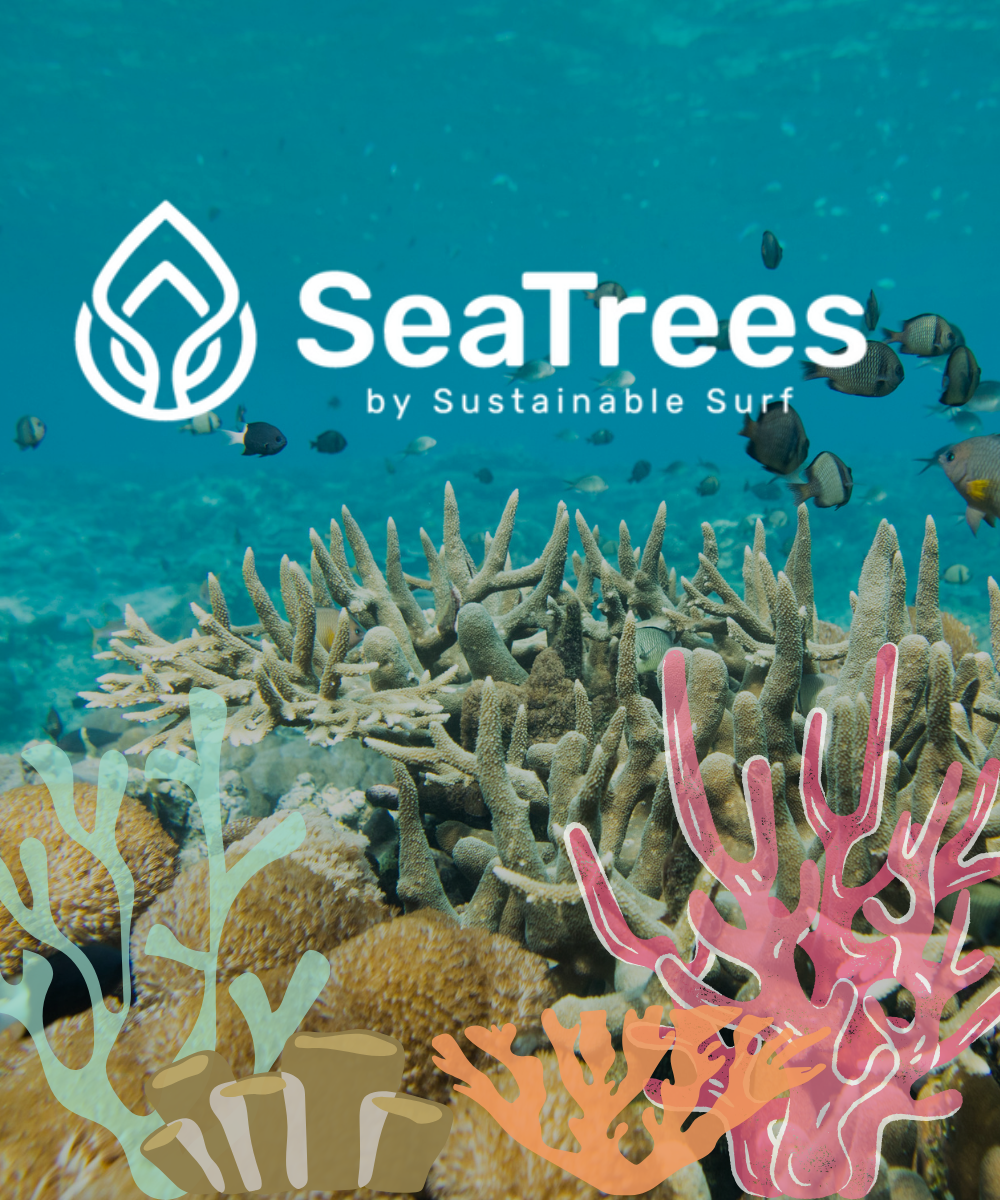 Sea Life Tree Growing underwater forests with SeaTrees