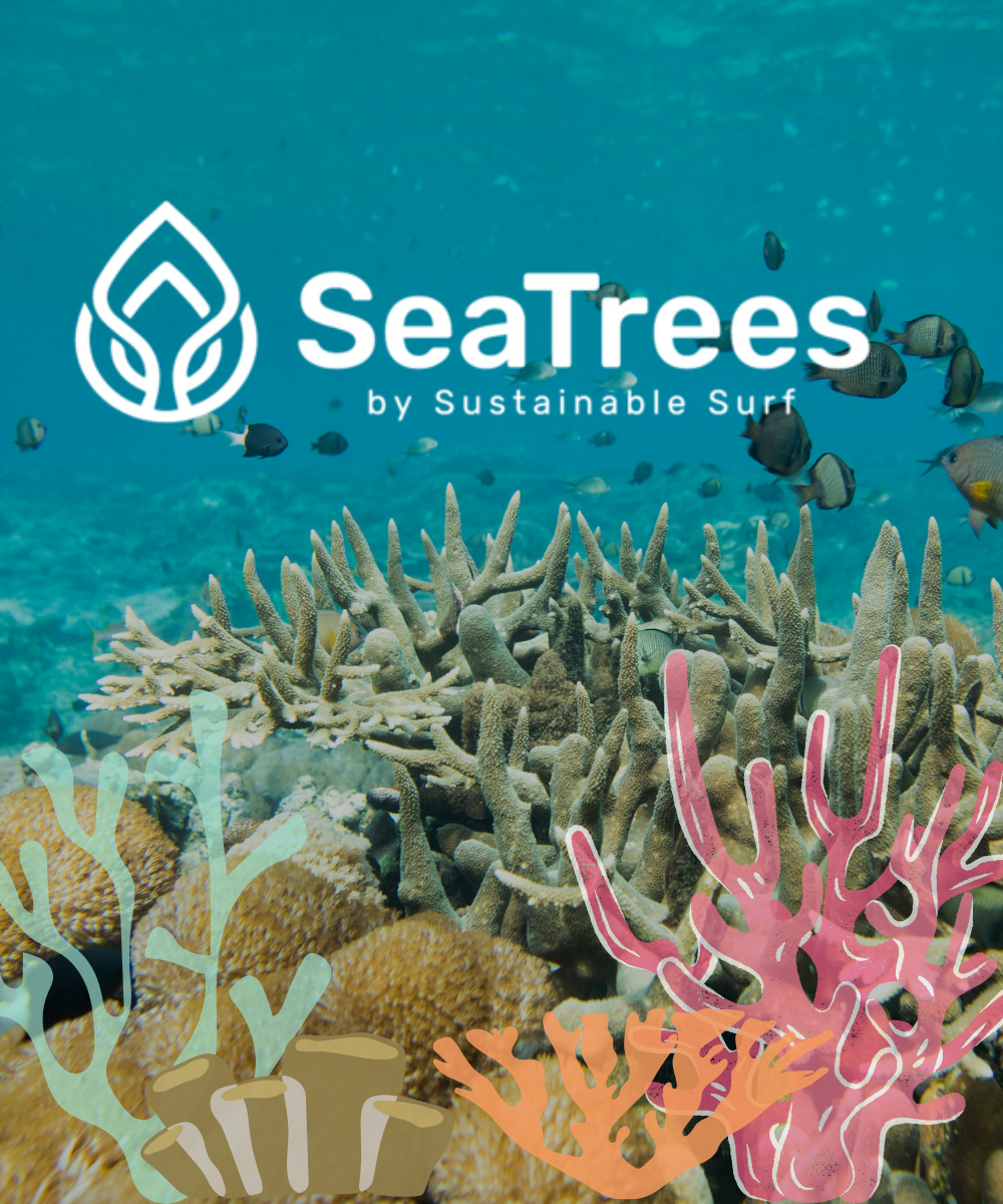 Growing underwater forests with SeaTrees